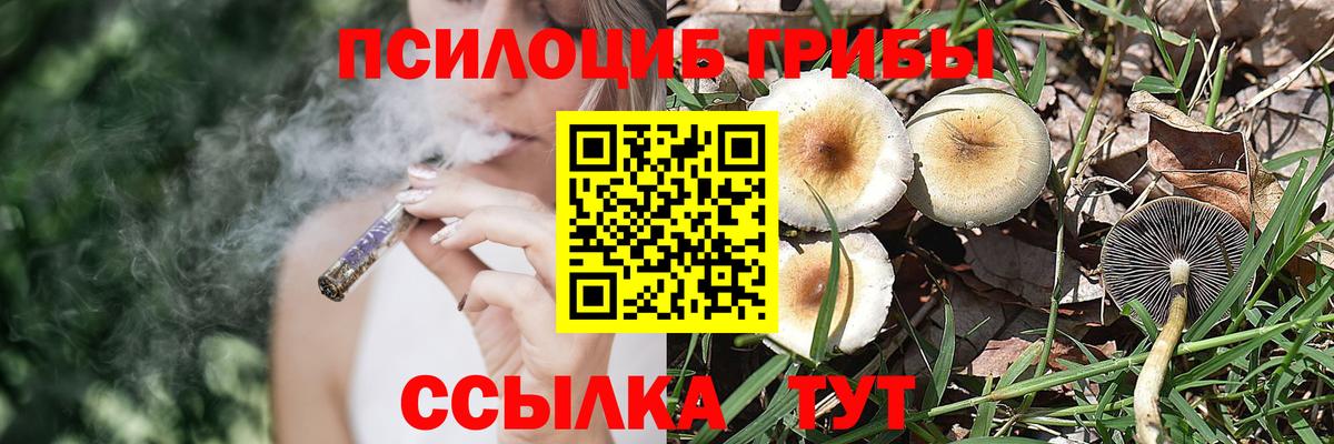 Псилоцибиновые грибы мухоморы Острогожск